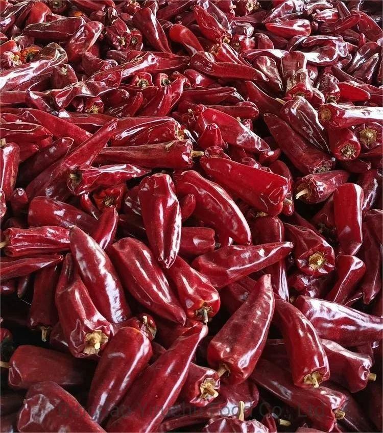 Small Red Chilli Dry Red Chilli Wholesale Price