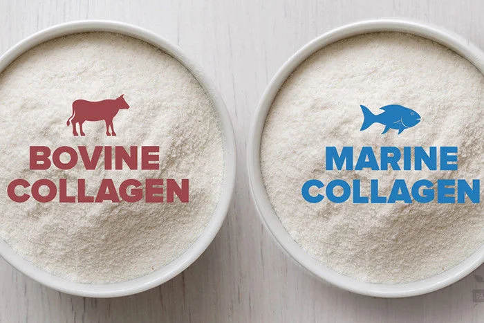 High quality/High cost performance Fish Collagen Marine Collagen Powder