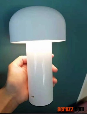 Lampe de table à piles Flos Bellhop LED Light