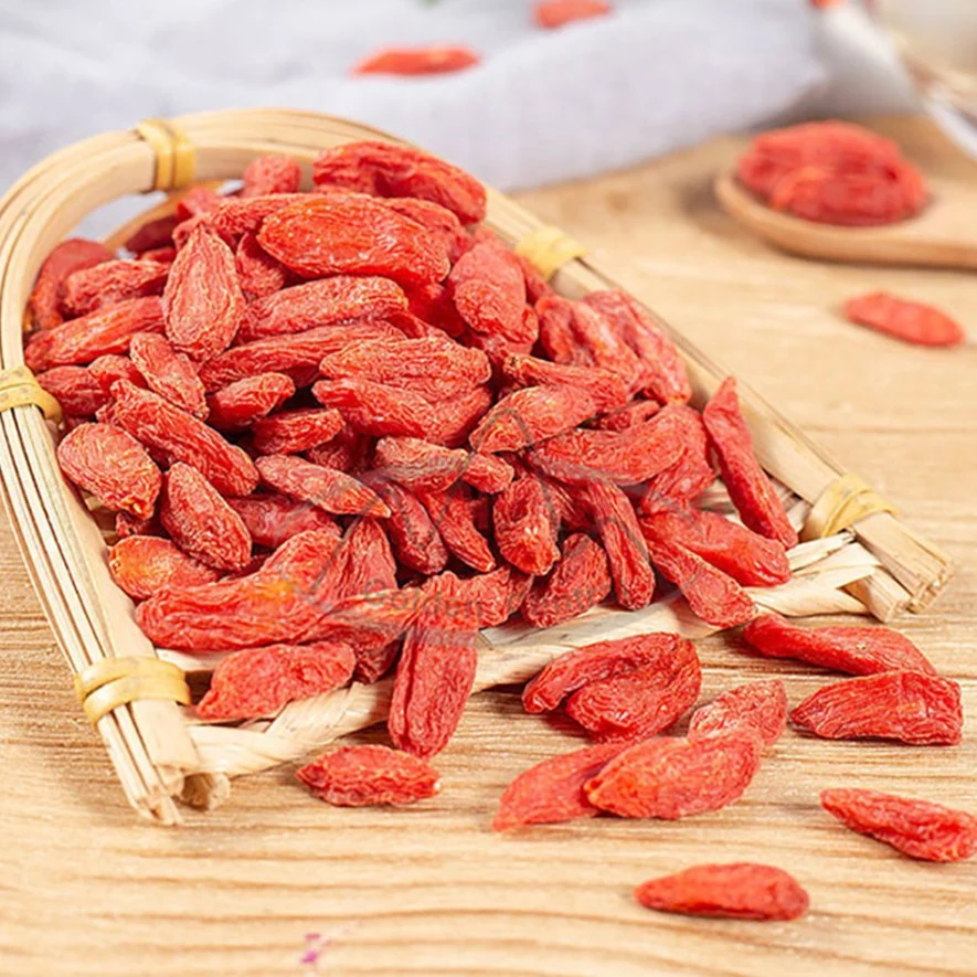 New Season Bulk Goji Berries Export for World