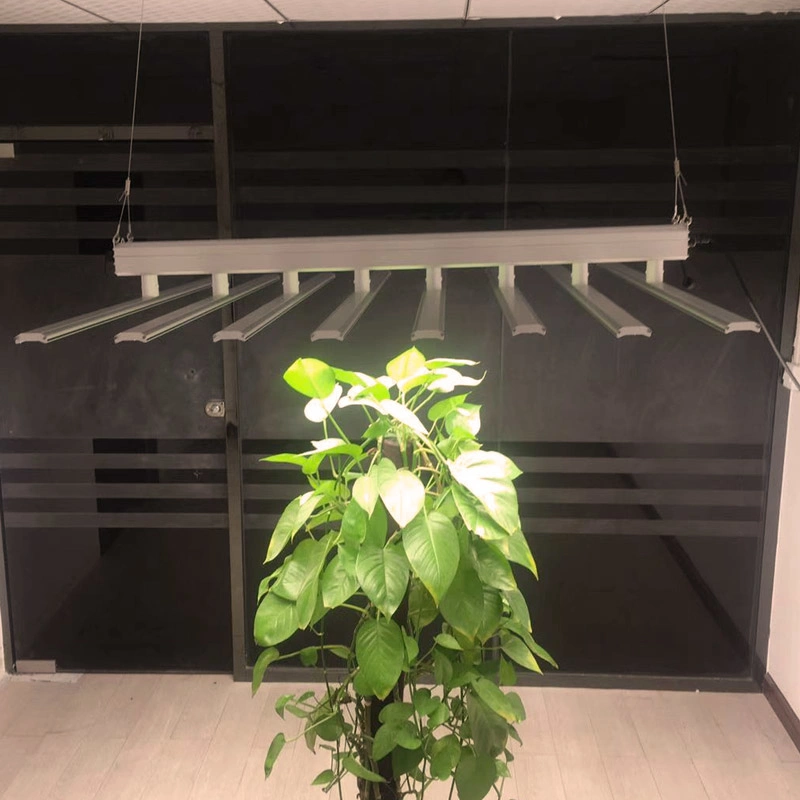 Samsung LED High Lumen Full Spectrum Plant Grow Light for Indoor Plants Growing Lamp