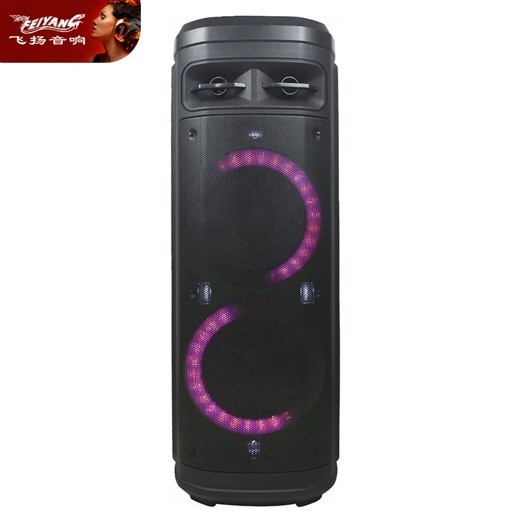 Feiyang New Hot Selling Trolley Speaker Fg210-06