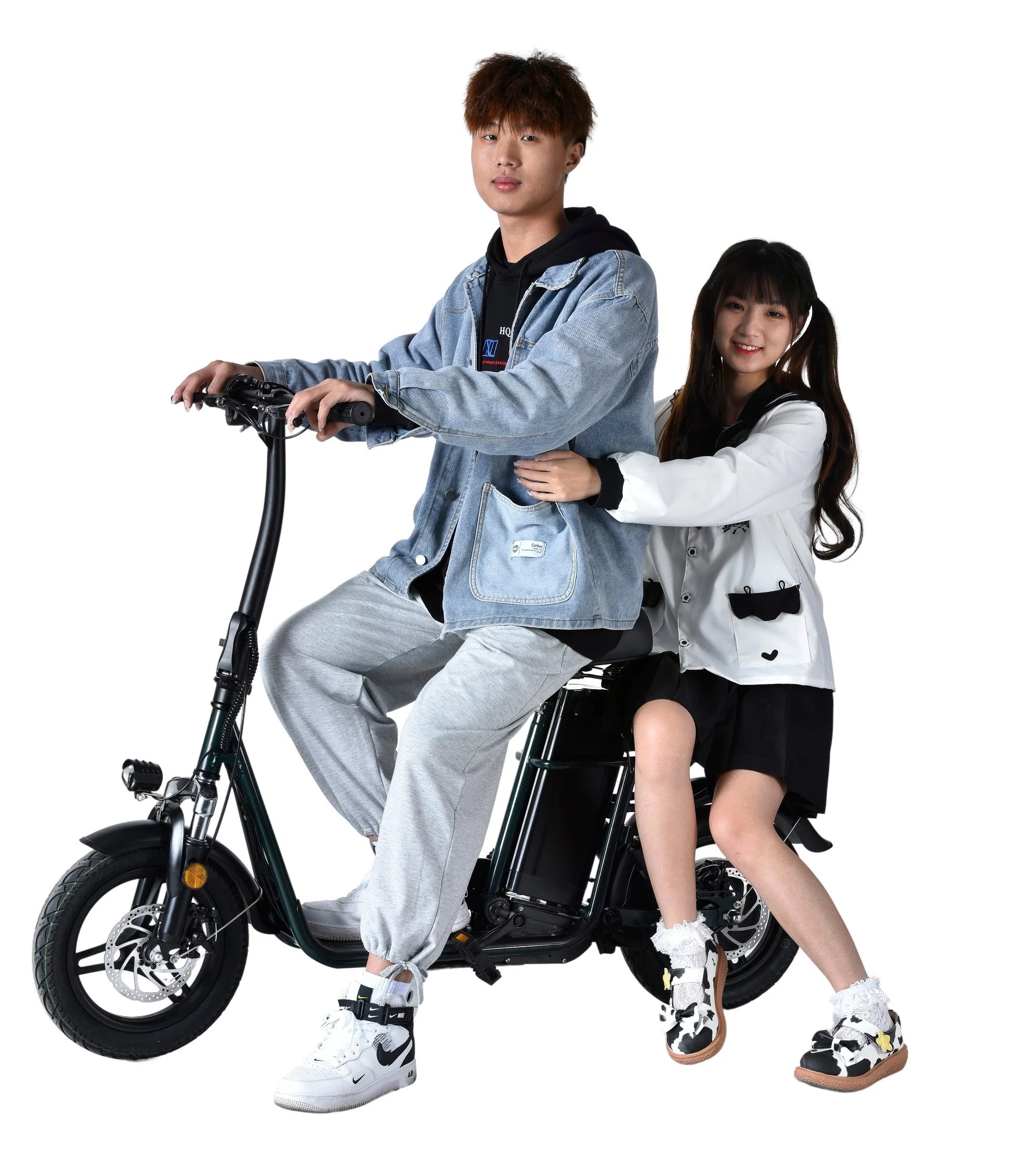 High Power Good Quality 36V 10ah Foldable Fat Electric Bike with CE for Adult and Teenager