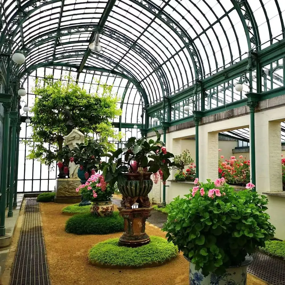 Commercial Greenhouses Agriculture Flower Greenhouse in Shandong