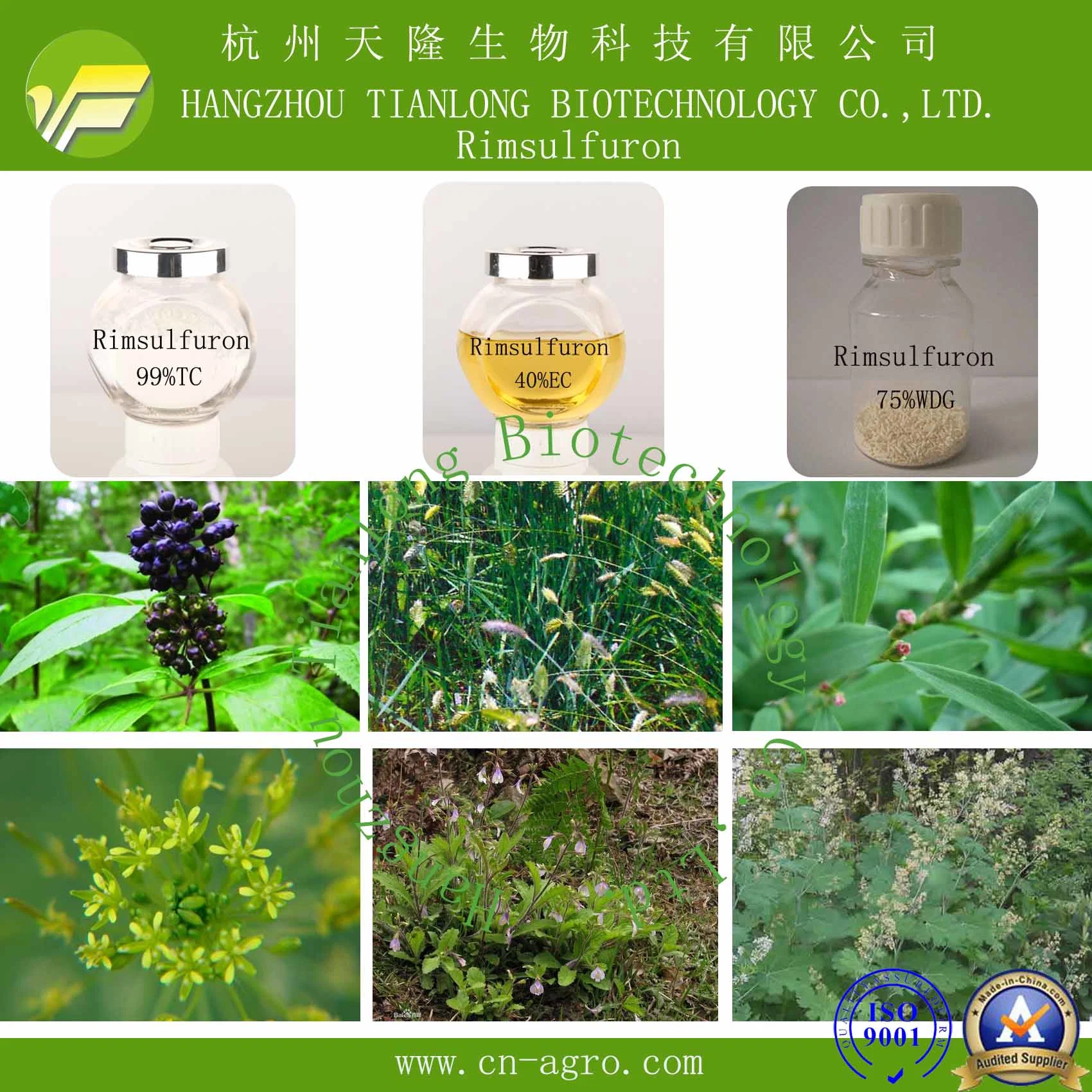 Herbicide Rimsulfuron 95%TC CAS 122931-48-0