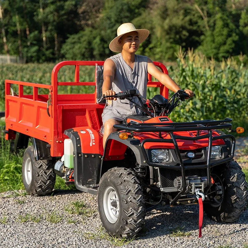 Frein à tambour Vitesse maximale 65 km/h Quadricycle 250cc 300cc 4X2 Buggy de plage