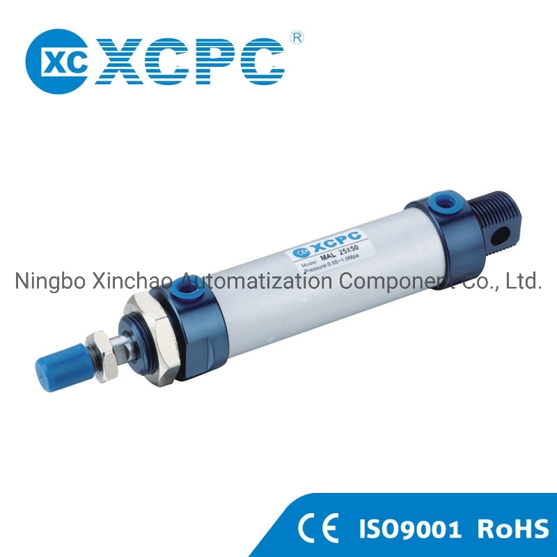 Pneumatic Manufacturer CDJ2 Stainless Steel Double Action Mini Piston Cylinder with Magnet