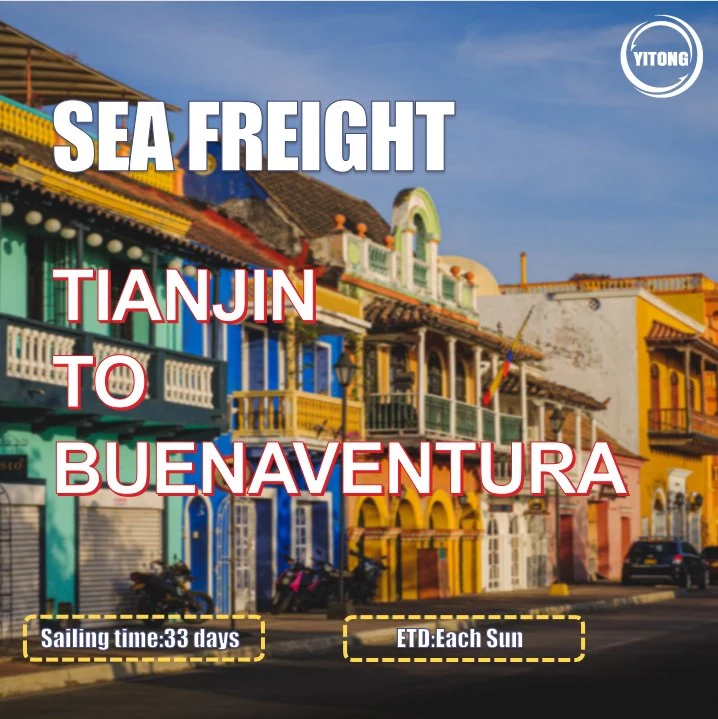 Sea Freight Shipping Service From Guangzhou to Buenaventura Colombia