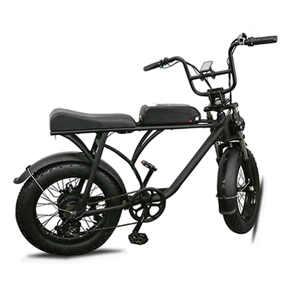 Fashion Electric Motorcycle Dirt Bike Adult 48V 13ah for Men Women