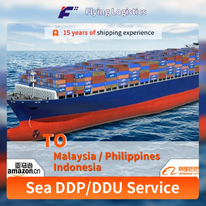 Freight Forwarder China to Malaysia/Philippines, Indonesia Door to Door Transport Agent Shipping Agent Service DDP/DDU by Sea