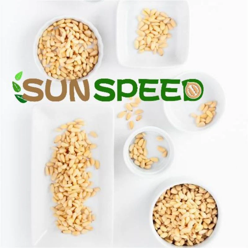 New Season Pine Nuts for Sale 2023 Bulk Packing OEM with Customization Logo