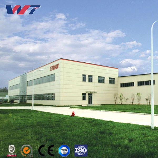 Galvanized Steel Structure Prefabricated Steelstructure Building/Workshop/Hanger/Warehouse From China