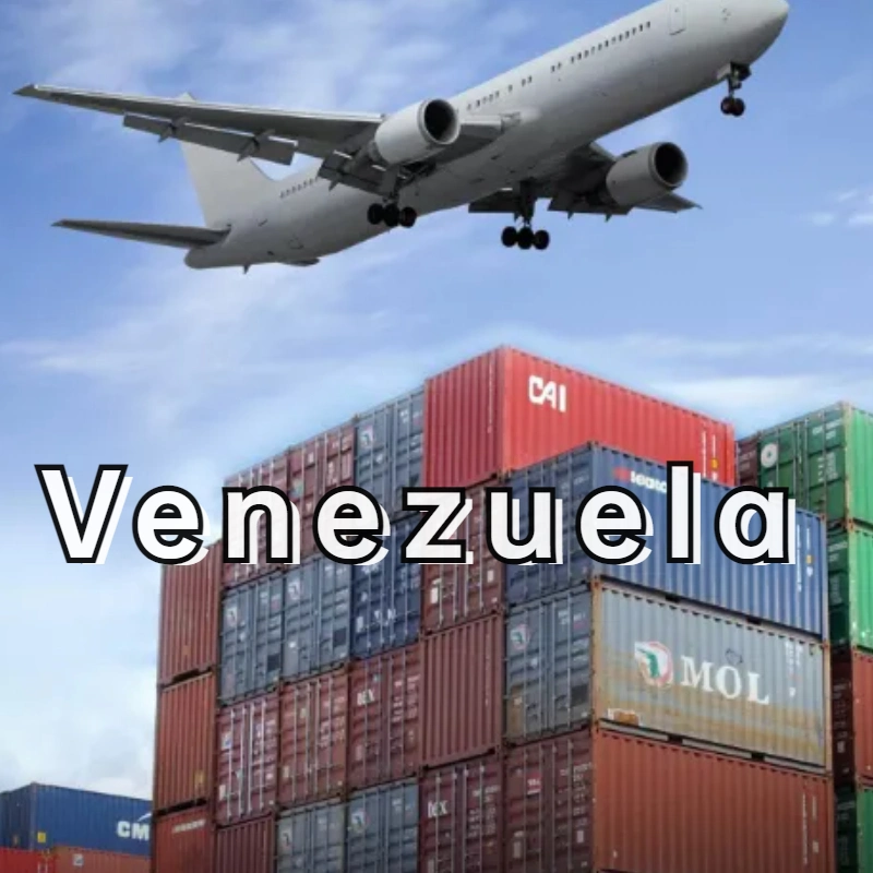 DDP Transportation From China to Venezuela