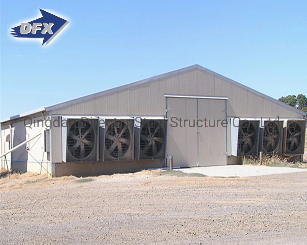 High quality/High cost performance  H-Type Galvanized Steel Frame Chicken House Poultry Farm Shed