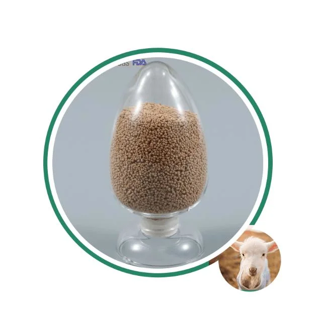 Factory Supply Wholesale/Supplier Feed Additive Feed Grade L Lysine