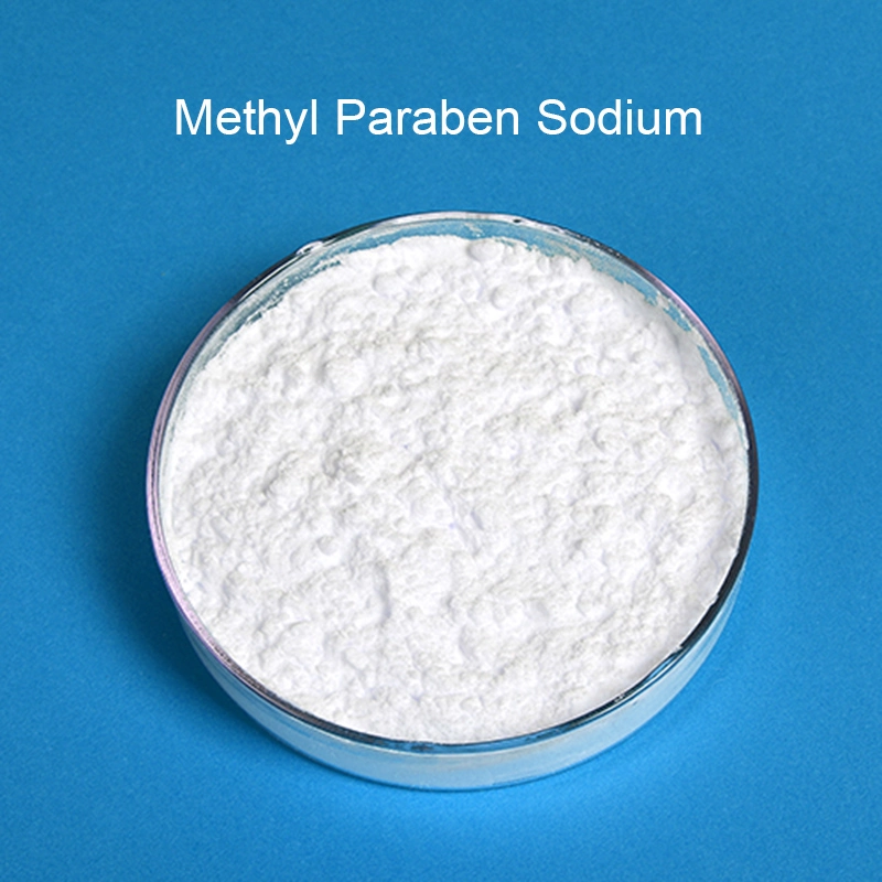 Bp USP Pharma Grade Sodium Methyl 4-Hydroxybenzoate Sodium Methyl P-Hydroxybenzoate