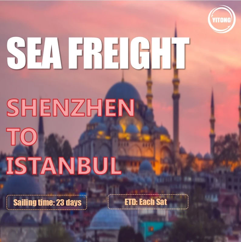 Sea Freight FCL LCL From Qingdao to Istanbul Kumport Ambarli Turkey