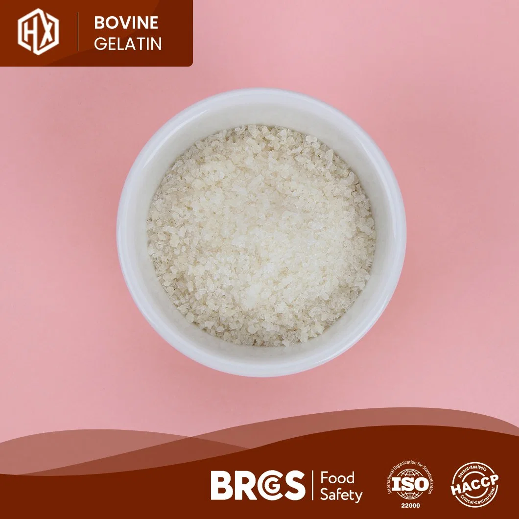 Haoxiang Quality Edible Bovine Skin Gelatin Free Sample Food Grade Halal Bovine Skin Gelatin China Supplier Free Sample Bovine Skin Food Grade Halal Gelatin