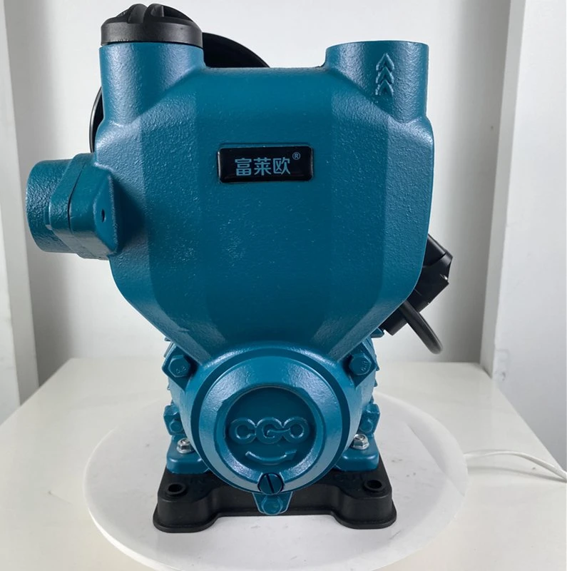 OEM ODM Customized Intelligent Water Pump with Smart LED Display