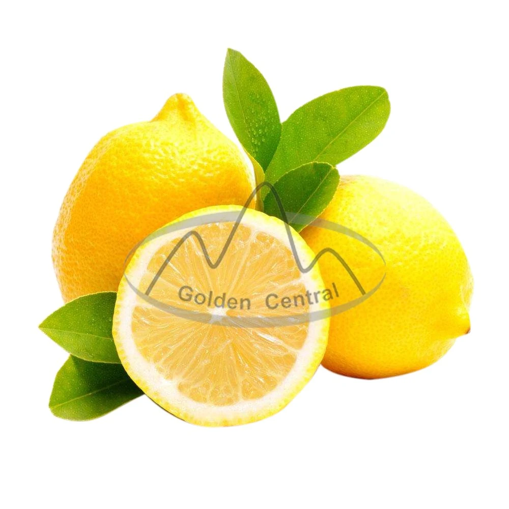 Natural Hot Selling Delicious Fresh Lemons in Bulk with Low Wholesale/Supplier Price Fruits in Bulk Fresh Lemon