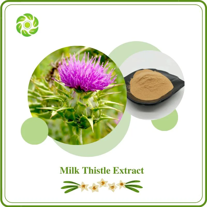 World Well-Being Organic Milk Thistle Extract Silymarin 50%, Silybin, Isosilybin for Liver Health