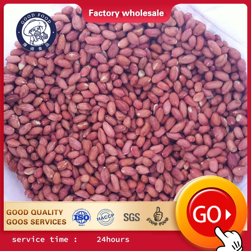 Chinese Good Quality Red Skin Raw Groundnut Kernel Peanuts