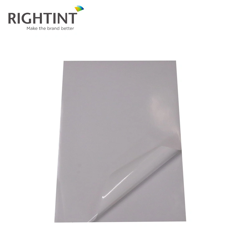 A4, OEM Sticker Rightint Carton Shanghai die cutting paper pvc