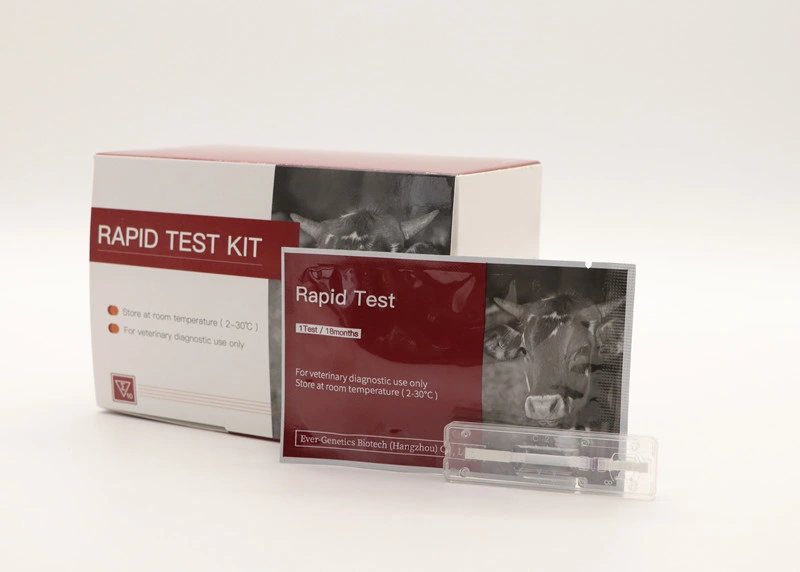 Asfv AG - Veterinary Rapid Test