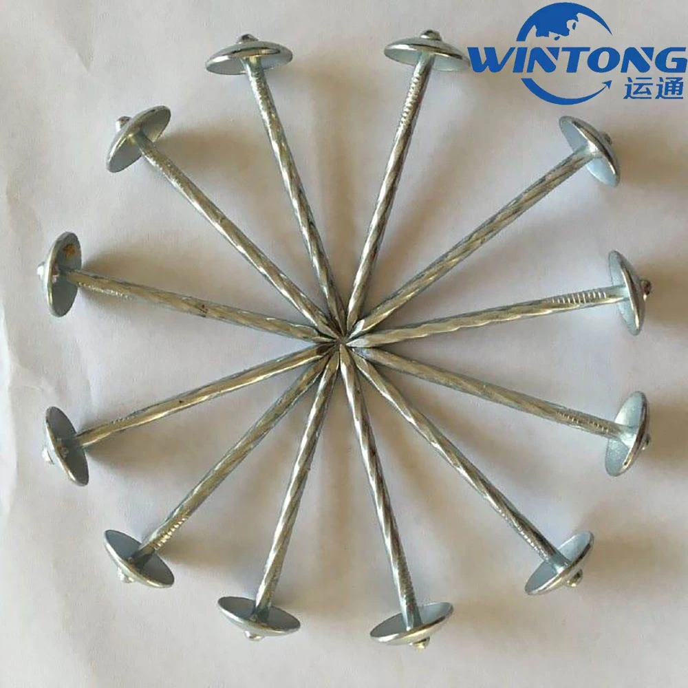 Galvanized Roofing Nail/Wire Nail with High quality/High cost performance  and Competition Price