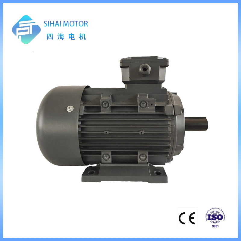 22kw 2 Pole High Efficiency AC Engine Three Phase Motor