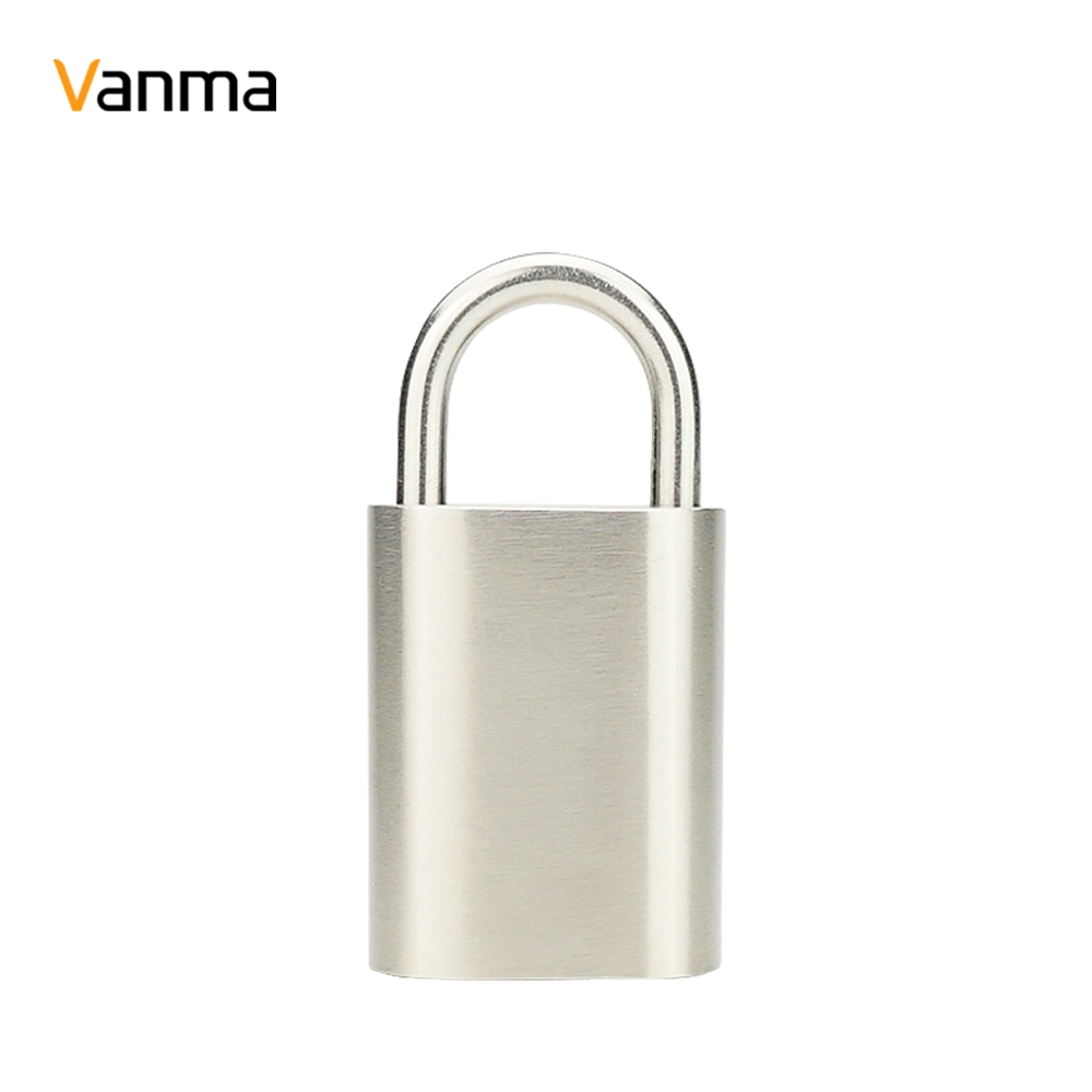 Custom Size 40mm 50mm nicht elektronisches Türschloss Smart Padlock Master Key System