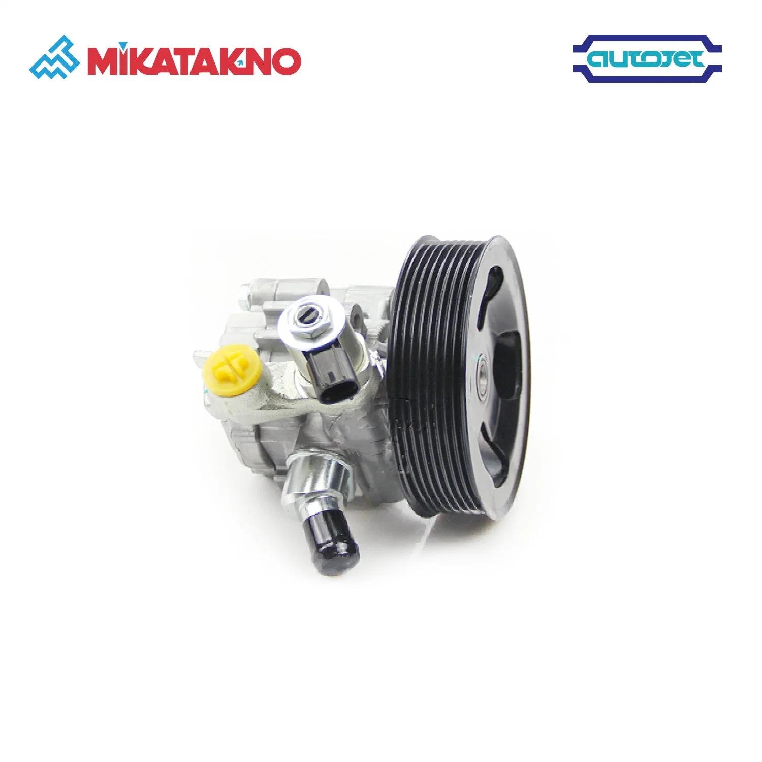 Power Steering Pump OEM 44310-0c110 Sequoia Tundra Auto Steering System for Toyota High Quality with Best Supplier