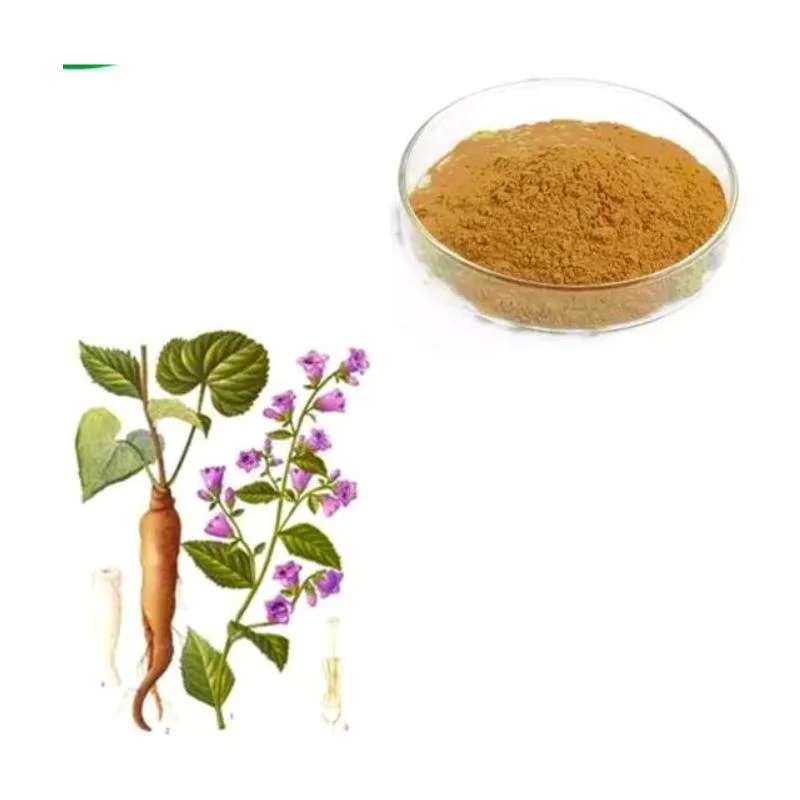 Natural Adenophora Extract Powder Adenophora Tetraphylla Extract Powder