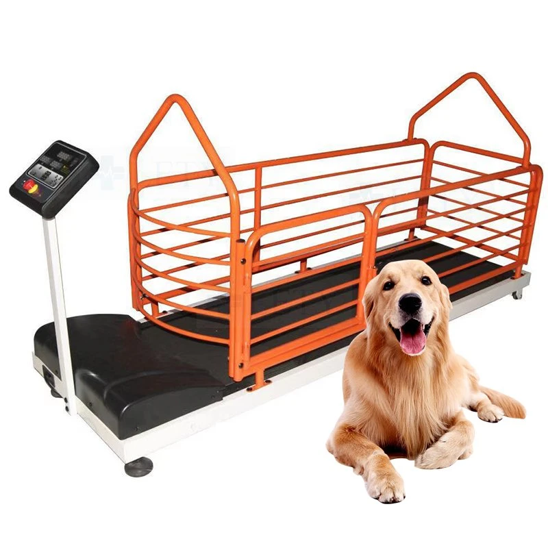 Animal Treadmill Pet Training Treadmill Dog Treadmill Pet Hydrotherapy Treadmill Dog Underwater Treadmill