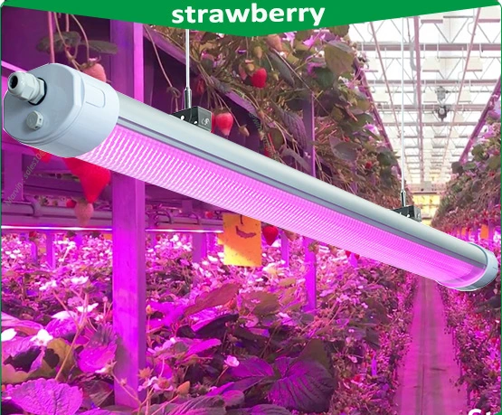 China Wholesale/Supplier Distributor 150W IP65 LED Grow Light, LED Tri Proof Light, LED Fluorescent Light, Mini Projector