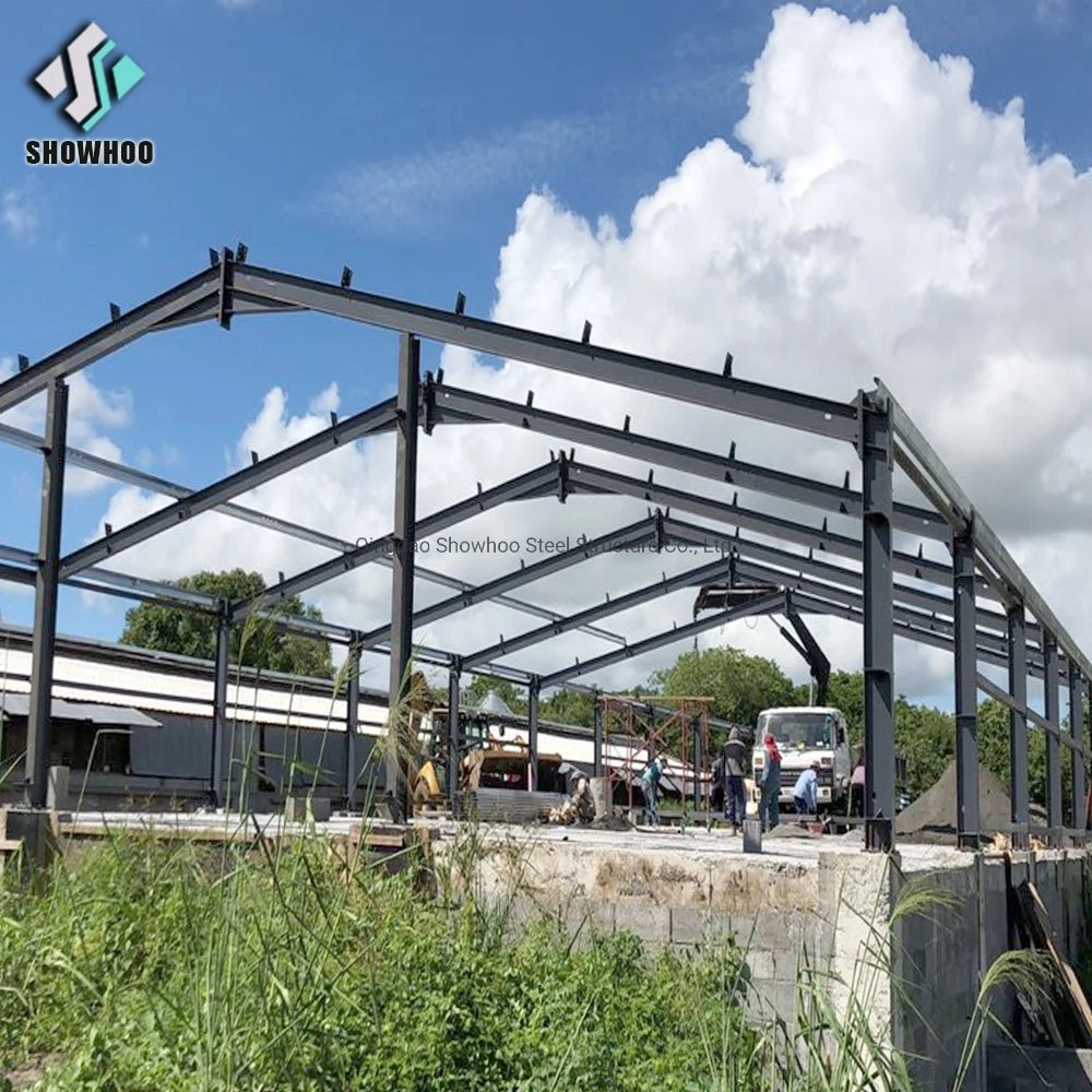 Automatic Precriated Steel Frame Building Modern Chicken Farm avícula House