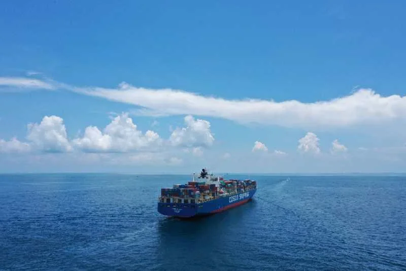 International Sea Freight Shipping Company with Freight Forwarder from Guangzhou(CNCAN/CNHPU), Shenzhen(CNDCW/CNSHK), Shanghai(CNSHA/ CNWGQ) in China to Poland