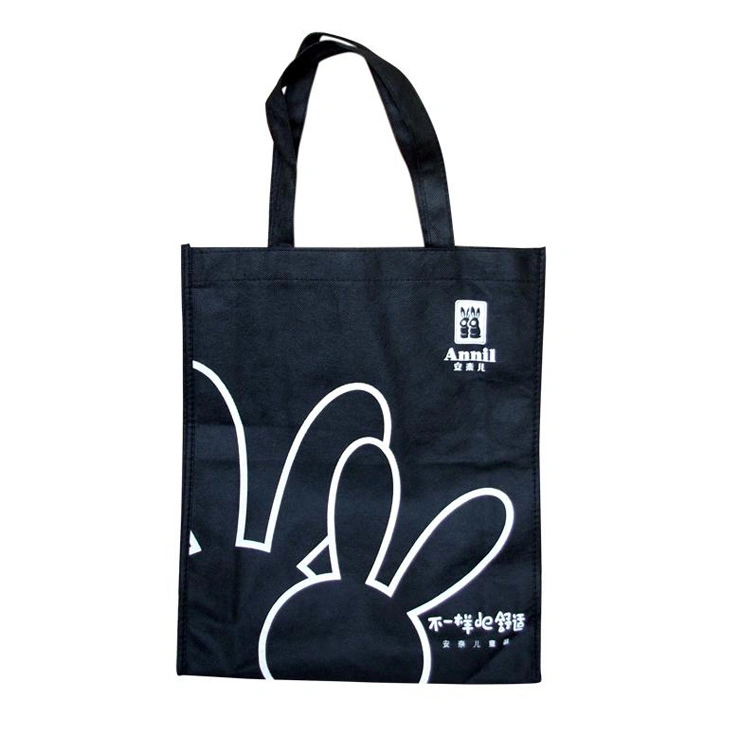 PP Laminated Non-Woven Shopping Bags for Promotional (FLN-9039)