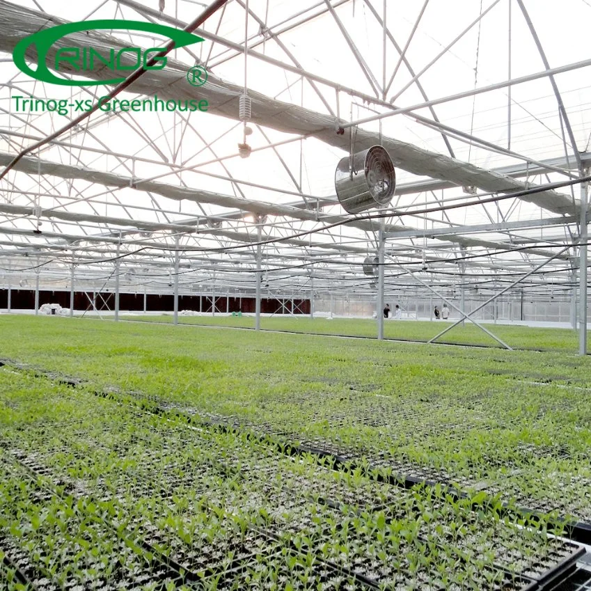 Trinog Greenhouse multispan net seeding bench plastic film Greenhouse for propagation