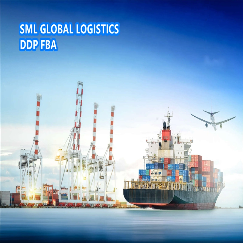 Professional Sea Freight Forwarder Agent Shipping From China to Mariana Island/Guam, Saipan