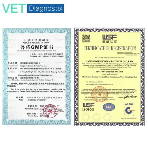 Kit de Ab Ehr Anticuerpo de la Ehrlichia canina Test rápido de prueba de diagnóstico veterinario.