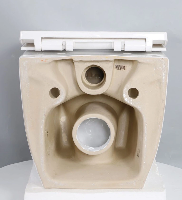 Wholesale/Supplier Sanitary Ware European Bathroom Ceramic P-Trap Washdown Rimless Wall Hung Toilet