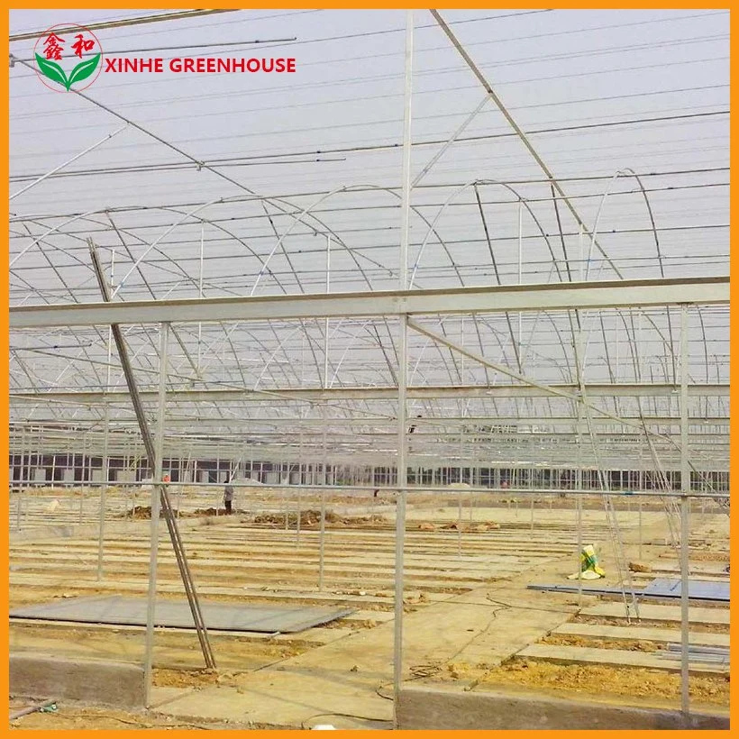 Glasshouse Serre Garden Warm Agro Multi Span Greenhouse with Cooling System for Agriculture