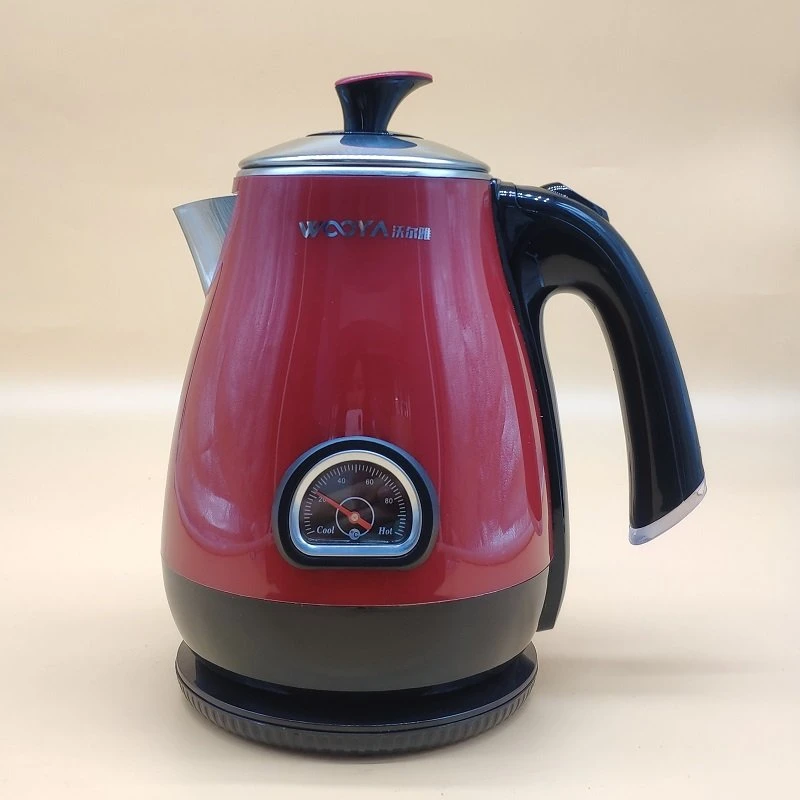 Electrical Kettle with Thermometer to Display Water Temperature to Brew Hot Tea and Coffee