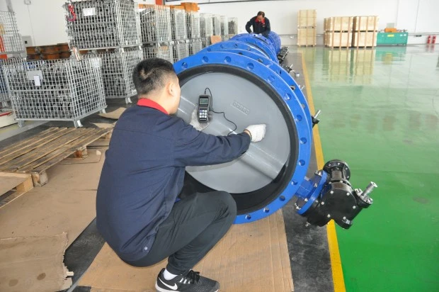 Class 125 Awwa C504 Casting Butterfly Valve with Flange End