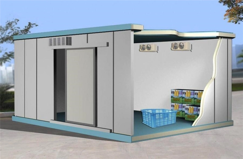 AC Cold Storage Room Mini Mobile Modular Walkin Freezer Air Conditioner Cold Rooms for Meat Vegetables