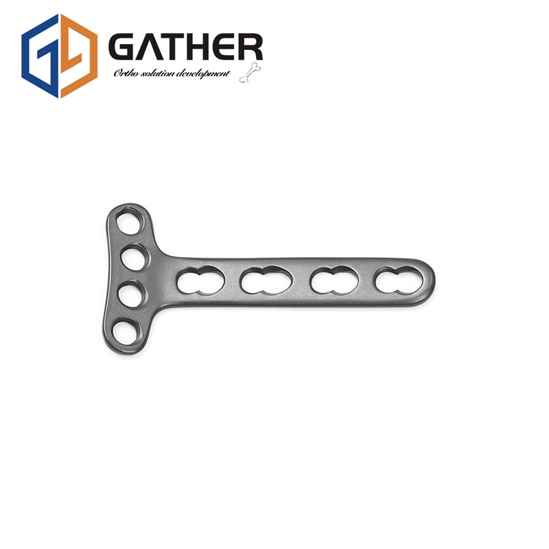 CE Approved Customizable Various Specification Locking Plate Fracture Fixation for Different Fractures Manufacture