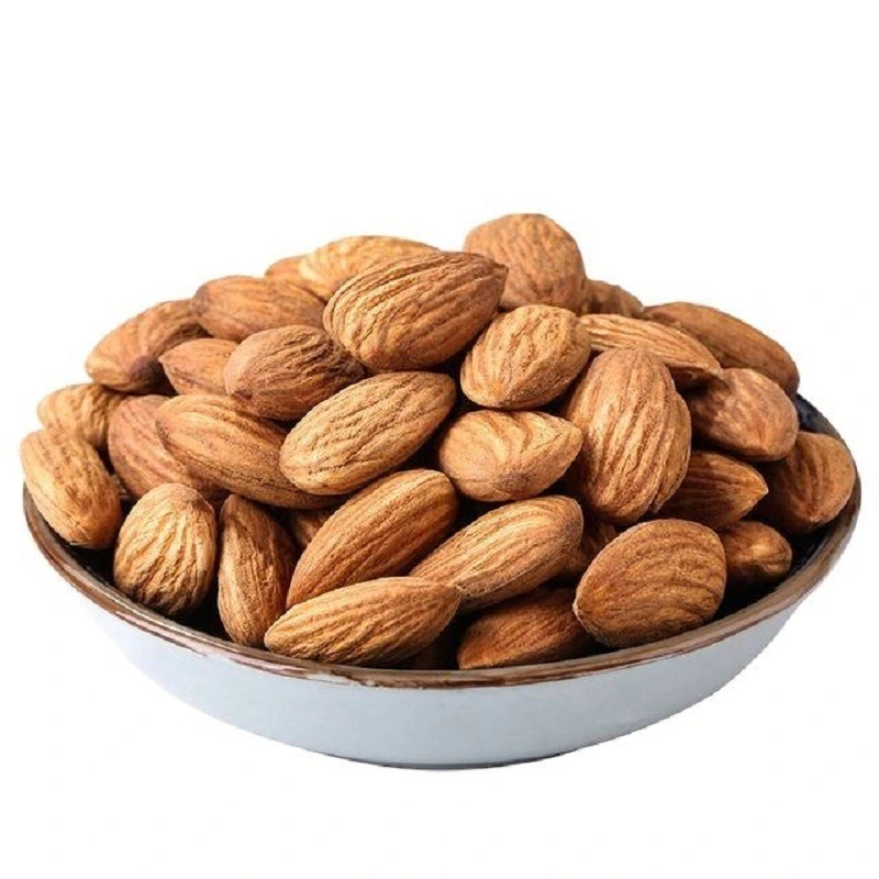 Bulk Almonds Bulk Price Delicious Snack Badam Nut Food Almond Apricot Seed/Kernel/Almond