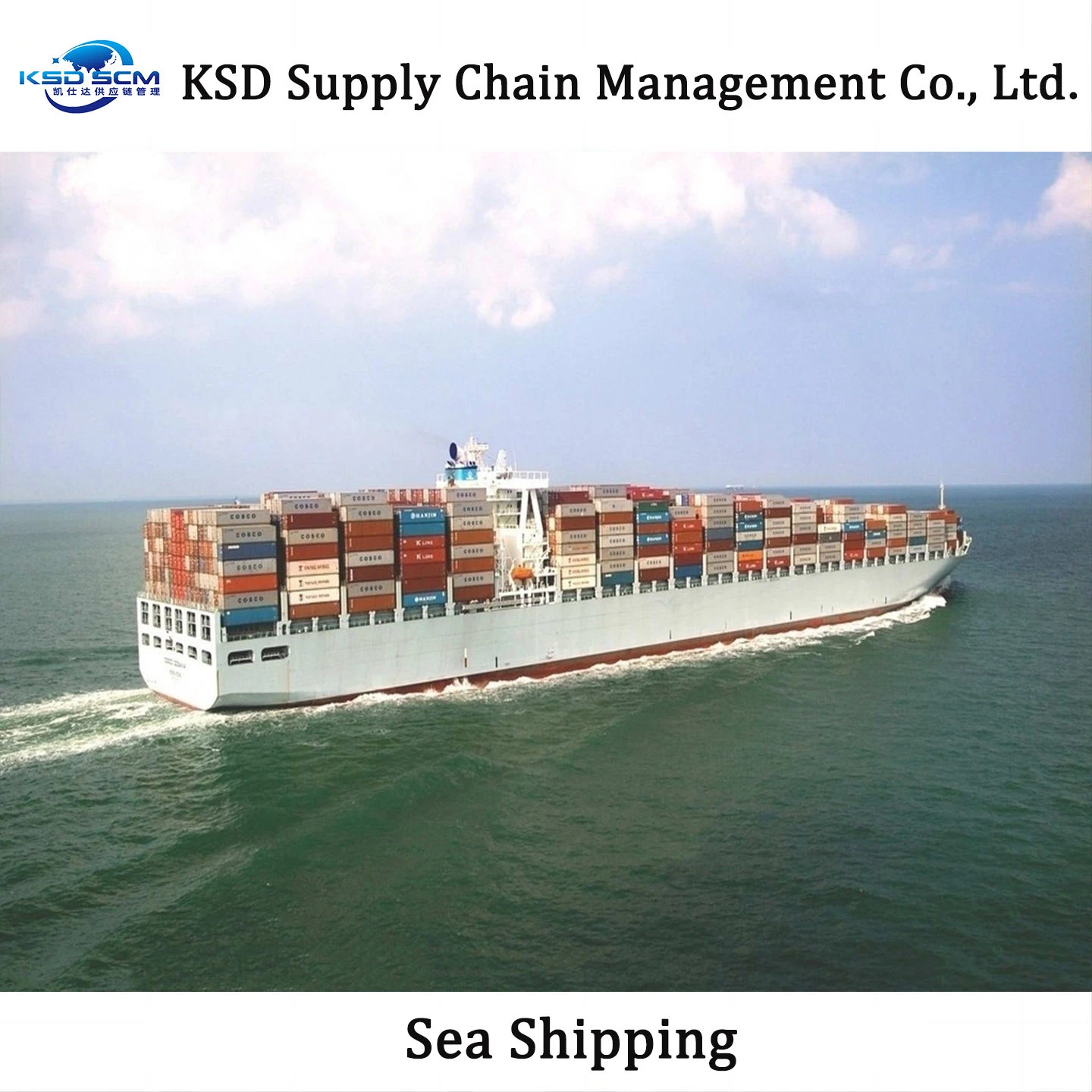 Transporte marítimo a la India LCL FCL por mar desde China Transporte marítimo de mercancías agente de transporte