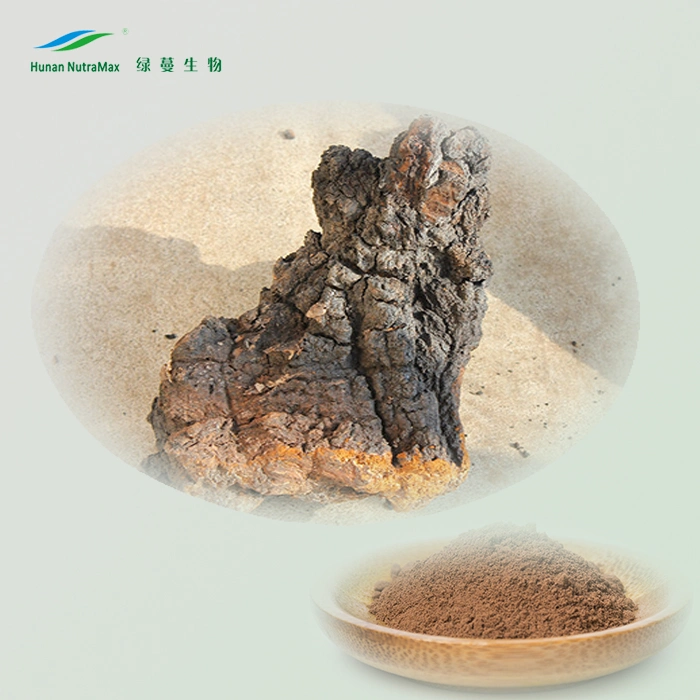 Natural 10%~40% Polysaccharides Powder Chaga Mushroom Extract